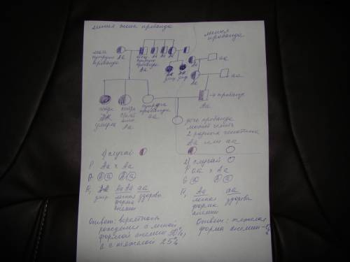 Пробанд страдает легкой формой серповидноклеточной анемии. его здорова, но их дочь также с легкой фо