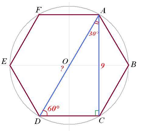 Найдите большую диагональ (d) правильного 6-ка,если меньшая равна 9 см