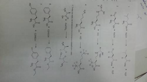 1. d-лейцин + гидроксид натрия 2. аспаргиновая кислота + избыток гидроксида натрия 3. l-аргинин + со