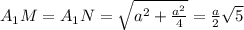 A_{1}M=A _{1}N= \sqrt{ a^{2}+ \frac{ a^{2} }{4} }= \frac{a}{2} \sqrt{5}