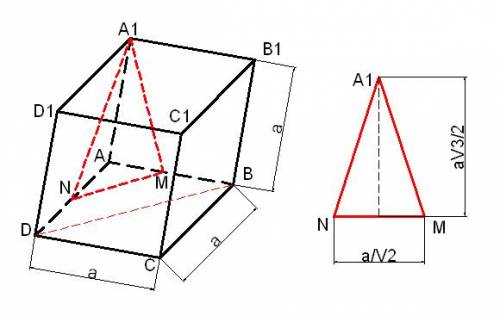 10-й класс дано: куб, м n-cередины ребер ав и ад соответственно через а1мn проведена плоскость 1.пос