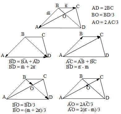 Abcd трапеция , о точка пересечения диагоналей , bс паралельно ad. ad=2bc. выразите через векторы m=