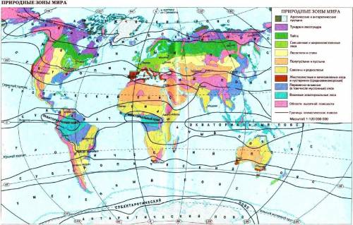 Сопоставьте карты климатических поясов и природных зон, определите , какие природные зоны формируютс
