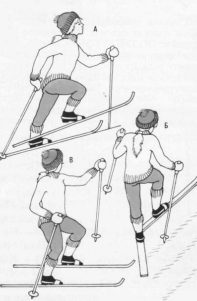 Какие двигательные качества развиваются в процессе занятий лыжной подготовкой? чем одновременный ход