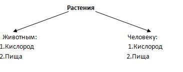 Схема-что растения животным и человеку