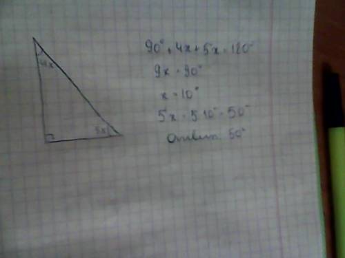 Два острых угла прямоугольного треугольника относятся как 4: 5. найдите больший острый угол. ответ д