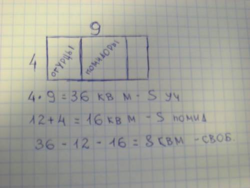 Начерти план участка прямоугольной формы со сторонами 4 м и 9 м , изображая 1 м 2 (1квадратный метр)