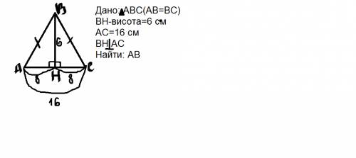 Вравнобедренном треугольнике авс ,основание ас=16 см, высота н=6 см. найдите боковую сторону.