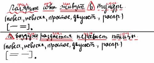 Полный анализ простого предложения по членам предложения полярные совы живут в тундре. в воздухе раз