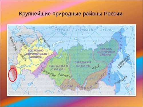 Назовите единственный район россии, который может быть отнесён к субтропикам?
