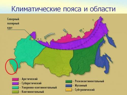 Назовите единственный район россии, который может быть отнесён к субтропикам?