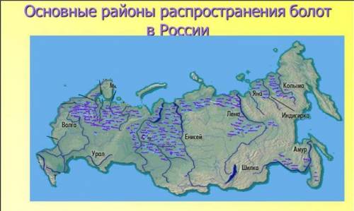 Сколько процентов территории россии занимают болота?
