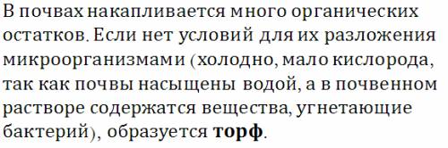 От куда поступают органические вещества в почву?