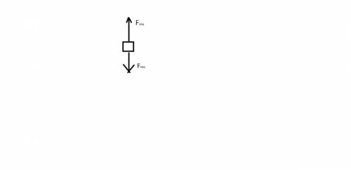 На нити подвешен груз. изобразите графически силы действующие на груз( 1 см-10 h)