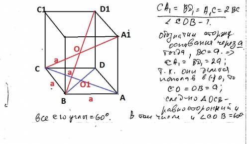Вправильной четырехугольной призме abcda1b1c1d1 известно что ac1=2bc. найдите угол между диагоналями