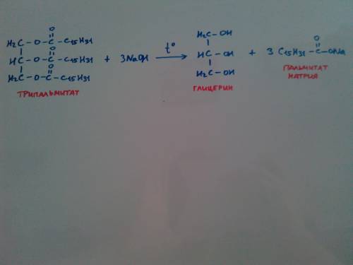 Напишите уравнение омыления трипальмитата под действием раствора гидроксида натрия.назовите полученн