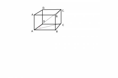 Диагональ куба равна 6 см. найти: а) ребро куба, б) косинус угла между диагональю куба и плоскостью