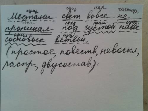 Синтаксический разбор бессоюзного слоного предложения: местами свет вовсе не проникал под густой нав