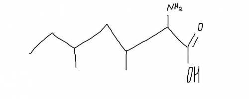 Скласти формулу 3,5 диметил-2-аміногептанова кислота​