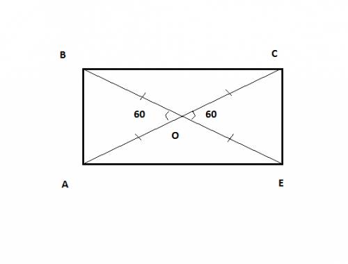 Меньшая сторона прямоугольника равна 51,диагонали пересекаются под углом 60 градусов. найдите диагон