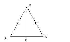 1.углы a и b треугольника abc - конгруэнтны . вычислите: ac, если bc = 6см . 2.[bm]- медиана равнобе