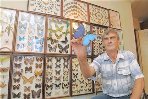 Если видел коллекцию бабочек, напиши о человеке, собравшем ее. назови и опиши особенно понравившихся