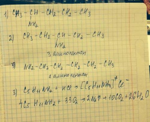 С. 1) построить 2-аминопентан 2) построить к нему 2 изомера + дать названия 3) для исходного веществ