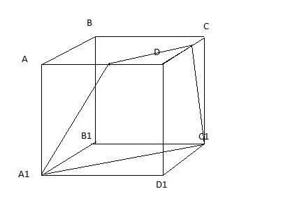 50 . постройте сечение куба abcda1b1c1d1,проходящее через середину ребра ad и прямую a1c1.будет ли о