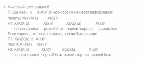 Укрупного рогатого скота черная масть полностью доминирует над рыжей. скрещивается чёрный бык с рыже