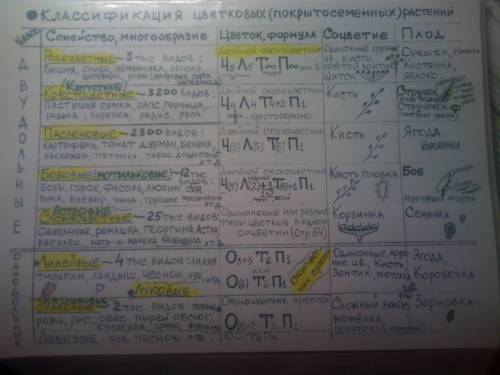 (семейство паслёновые ) формула подсолнечника , части цветка , родина подсолнечника . предназначение