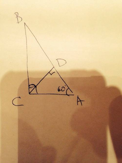Впрямоугольном треугольнике авс из вершины прямого угла с проведена высота сд. найдите угол всд если