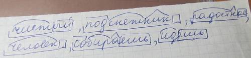 Чистый. подснежник, радостное, человек, собираешь, идёшь. выделить суффикс корень окончание.