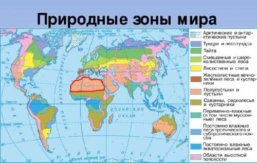 По карте природных зон определите,на каких материках зона пустынь занимает самую большую площадь.