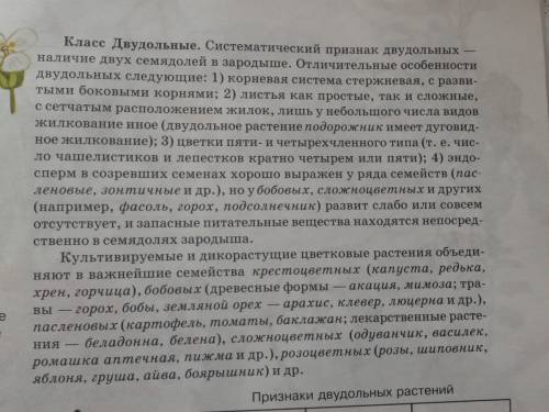 Кклассу двудольных относится: а- пшеница, б- лилия, в-люцерна, д- томаты, е-чеснок