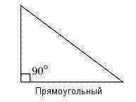 Построй прямоугольный треугольник, у которого одна из сторон имеет длину 10 см. !
