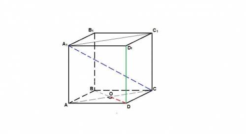 Ребро куба abcda1b1c1d1 дорівнює a. знайти відстань між прямими a1c і dd1. ребро куба abcda1b1c1d1 р