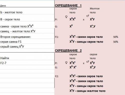 С у дрозофилы рецессивный ген жёлтой окраски тела находиться в x хромосоме.в лаборатории получено по