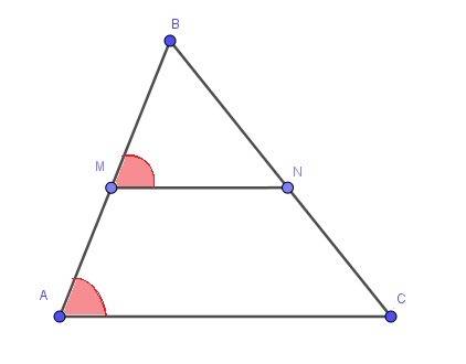 Прямая параллельная стороне ac треугольника abc пересекает стороны ab и bc в точках м и n соответств