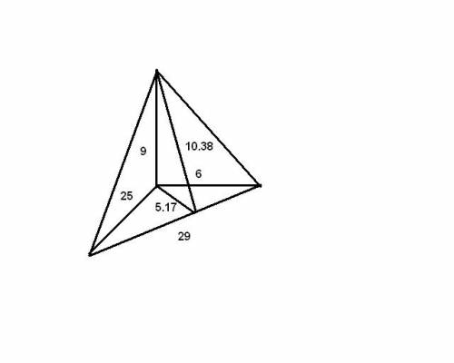 Основание прямой треугольной пирамиды-треугольник со сторонами 6,25,29см, боковое ребро 9см.найдите
