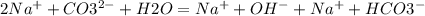 2Na^+ + CO3^{2-} + H2O = Na^{+} + OH^{-} + Na^{+} + HCO3^{-} &#10;