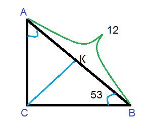 Розв'яжіть прямокутний трикутник abc(угол c=90) за відомими елементами: ab=12см , кут b=53