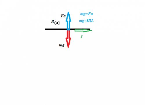Воднородном магнитном поле с индукцией 0.06 тл находится горизонтальный проводник. линии индукции по