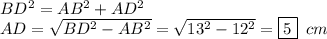 BD^2=AB^2+AD^2 \\ AD= \sqrt{BD^2-AB^2}= \sqrt{13^2-12^2} =\boxed{5}\,\,\, cm