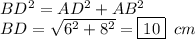 BD^2=AD^2+AB^2 \\ BD= \sqrt{6^2+8^2} =\boxed{10}\,\,\,cm
