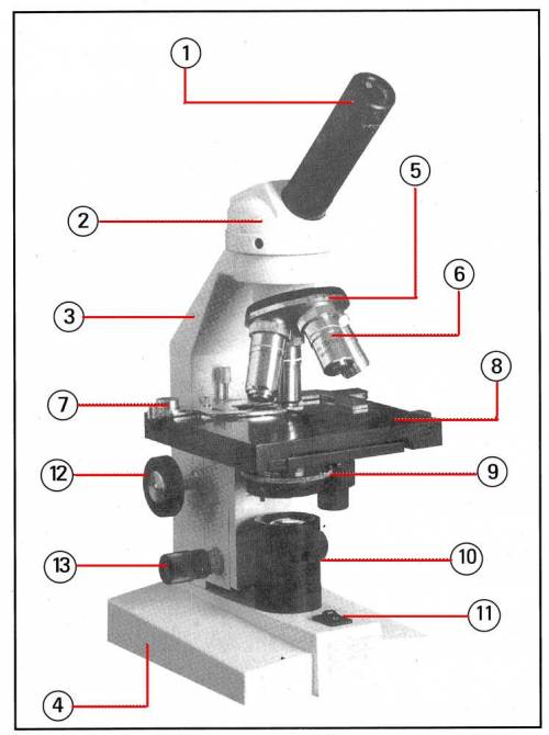 1.назовите основные части микроскопа, их расположение. 2.из каких деталей состоит зрительная труба?