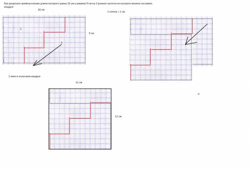 Как разрезать прямоугольник длина которого равна 16 см а ширина 9 см на 2 разные части из из которог