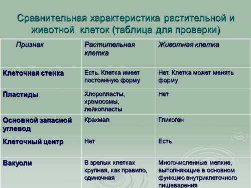 Составить таблицу сравнение растительной и животной клетки