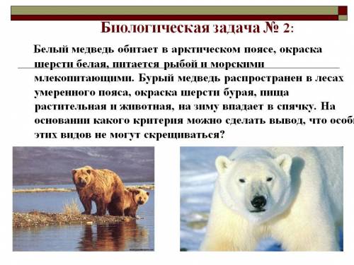 Критерии вида: белый и бурый медведь