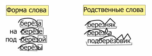 Вкаком столбике соброны родственые слова а в каком изменения формы одного слова почему так считаешь