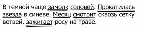 Втемной чаще замолк соловей.прокатилась звезда в синеве.месяц смотрит сквозь сетку ветвей,зажигает р